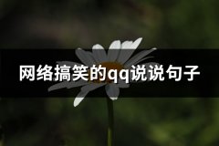 网络搞笑的qq说说句子(通用63句)