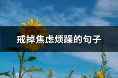 戒掉焦虑烦躁的句子(精选88句)