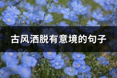 古风洒脱有意境的句子(热门179句)