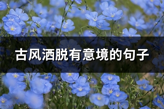 古风洒脱有意境的句子(热门179句)