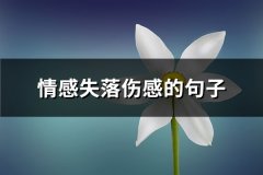 情感失落伤感的句子(推荐61句)