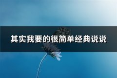 其实我要的很简单经典说说(必备78句)