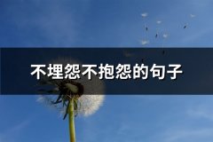 不埋怨不抱怨的句子(精选85句)