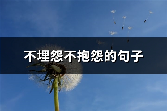 不埋怨不抱怨的句子(精选85句)