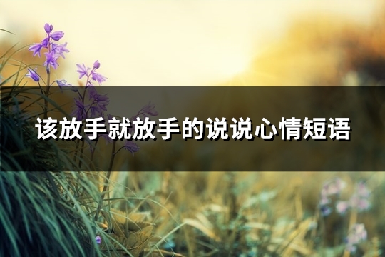该放手就放手的说说心情短语(实用70句)