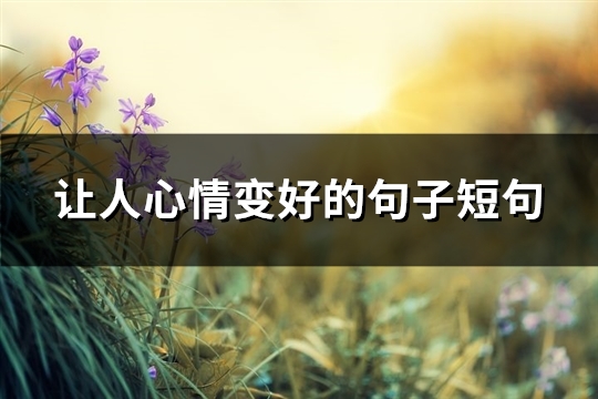 让人心情变好的句子短句(汇总66句)