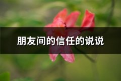 朋友间的信任的说说(热门80句)