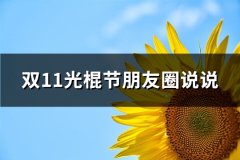 双11光棍节朋友圈说说(76句)