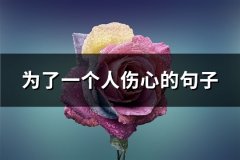 为了一个人伤心的句子(通用61句)