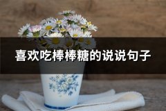 喜欢吃棒棒糖的说说句子(必备63句)