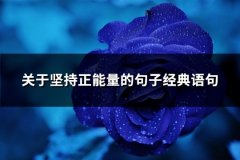 关于坚持正能量的句子经典语句(共65句)