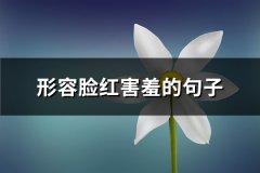 形容脸红害羞的句子(优选66句)