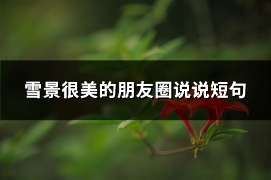 雪景很美的朋友圈说说短句(实用69句) 雪景很美的朋友圈说说短句(实用69句)