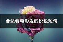合适看电影发的说说短句(共62句)