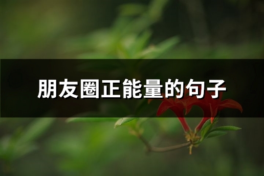 朋友圈正能量的句子(热门81句)