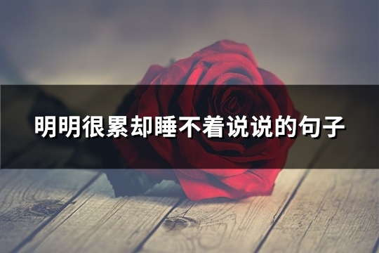 明明很累却睡不着说说的句子(精选63句)