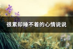很累却睡不着的心情说说(精选72句)