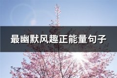 最幽默风趣正能量句子(热门193句)
