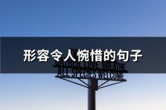 形容令人惋惜的句子(汇总65句)