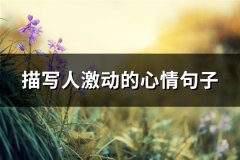 描写人激动的心情句子(汇总43句)