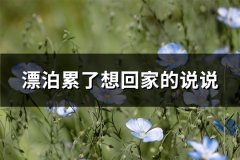 漂泊累了想回家的说说(通用65句)