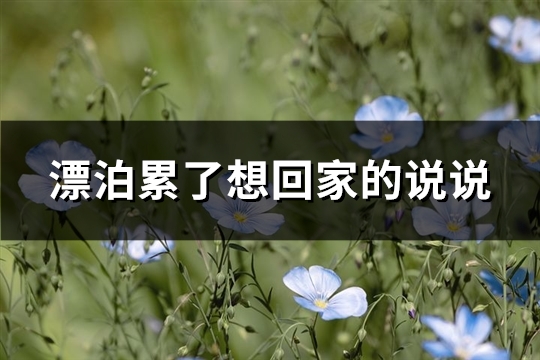 漂泊累了想回家的说说(通用65句)