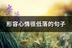 形容心情很低落的句子(精选62句)