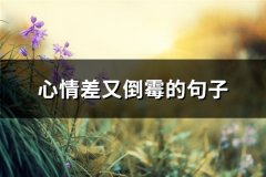 心情差又倒霉的句子(热门65句)