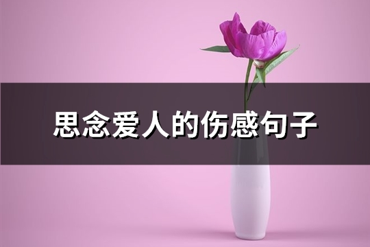 思念爱人的伤感句子(通用56句)
