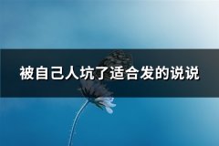 被自己人坑了适合发的说说(共59句)