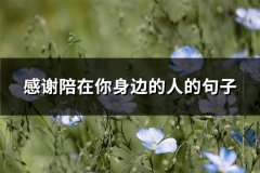 感谢陪在你身边的人的句子(优选92句)