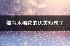 描写木棉花的优美短句子(热门62句)