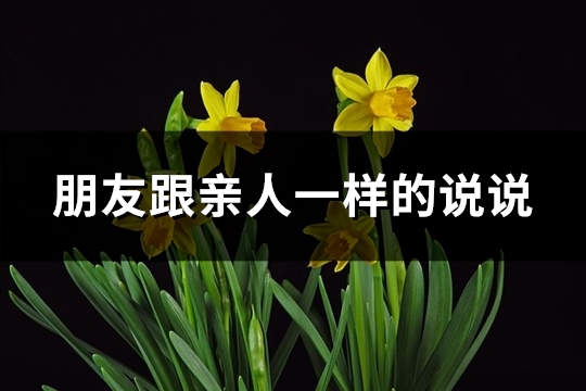 朋友跟亲人一样的说说(优选62句)