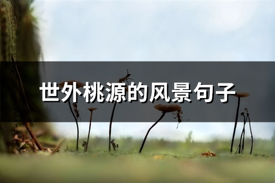 世外桃源的风景句子(优选62句)