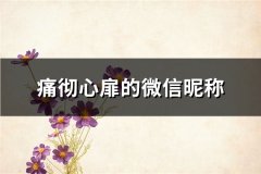 痛彻心扉的微信昵称(84个)