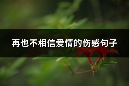 再也不相信爱情的伤感句子(精选68句)