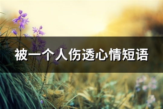 被一个人伤透心情短语(共104句)