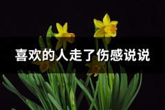 喜欢的人走了伤感说说(必备60句)