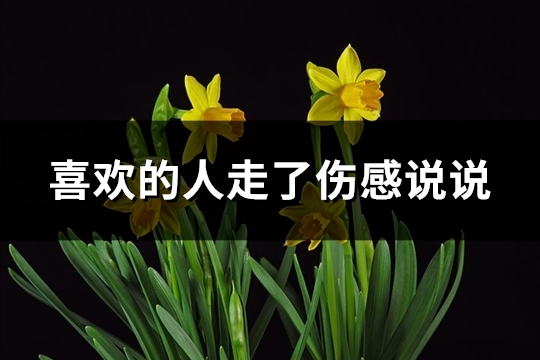 喜欢的人走了伤感说说(必备60句)