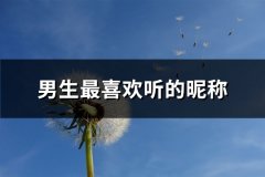 男生最喜欢听的昵称(176个)