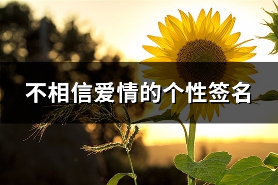 不相信爱情的个性签名(55句)