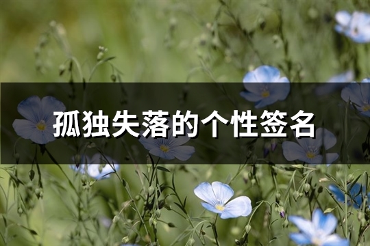 孤独失落的个性签名(共72句)