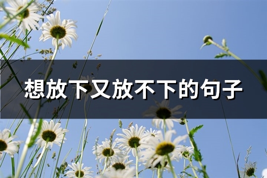 想放下又放不下的句子 想放下又放不下的句子
