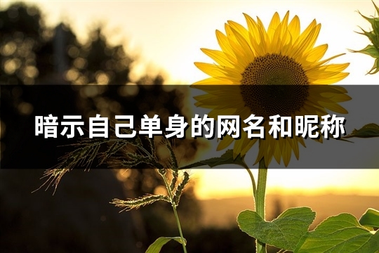 暗示自己单身的网名和昵称(精选142个)