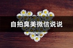 自拍臭美微信说说