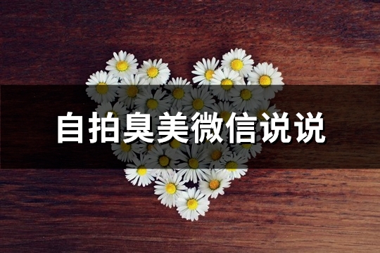 自拍臭美微信说说