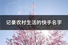 记录农村生活的快手名字(107个)