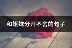 和姐妹分开不舍的句子(推荐63句)