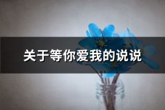 关于等你爱我的说说(必备71句)