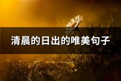 清晨的日出的唯美句子(推荐76句)